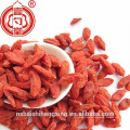 Lycii fructus, Gouqi zi / Ningxia Goji wolfberry Bayas de Goji de calidad premium seca / Boxthorn / Salud seca Chinese Wolfberry nutrition